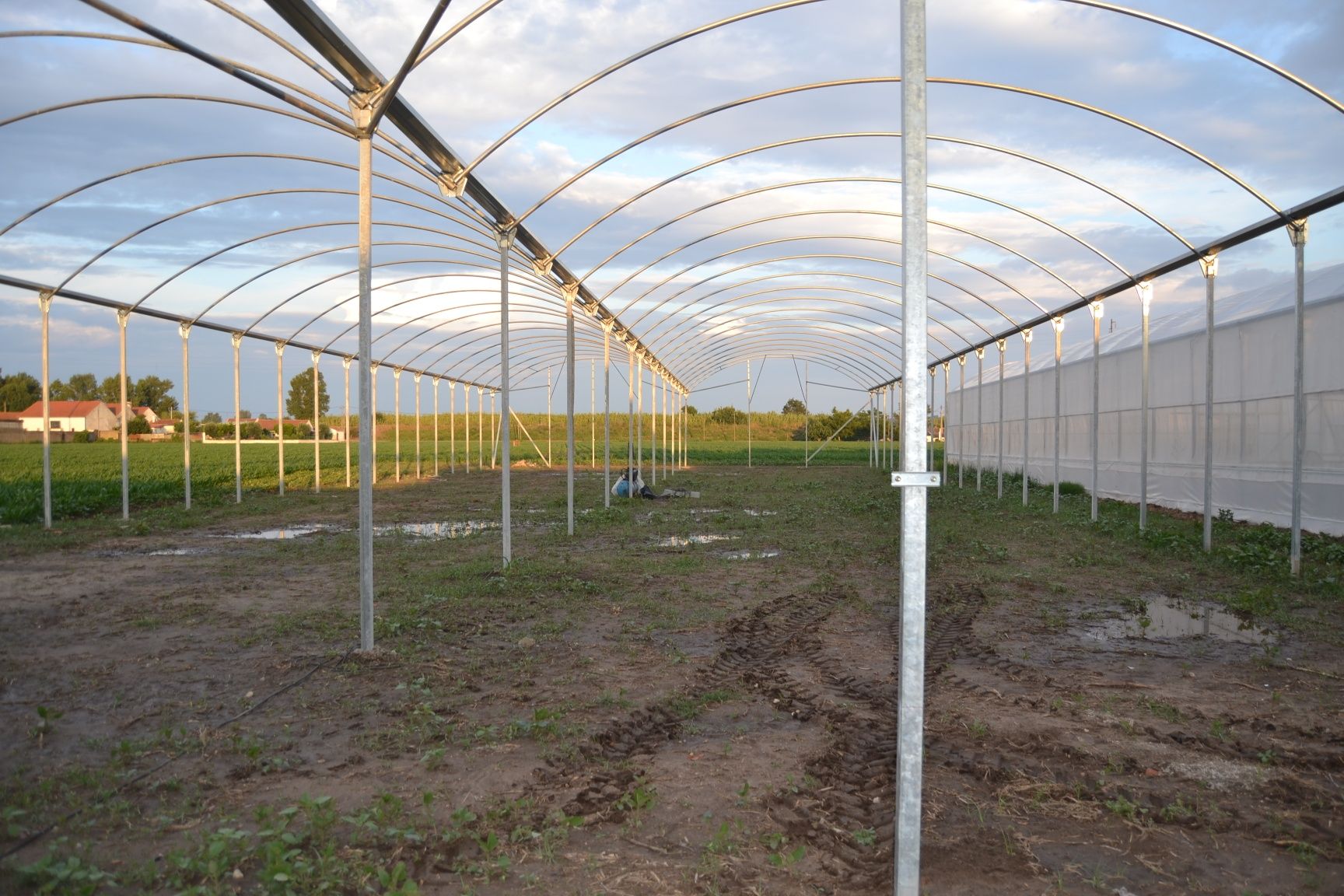 Estufa Agrícola 1008m²(Estrutura)