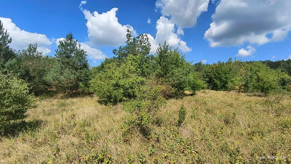 Продаж земельної ділянки на Дністрі Рудківці