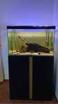Aquario 200 litros