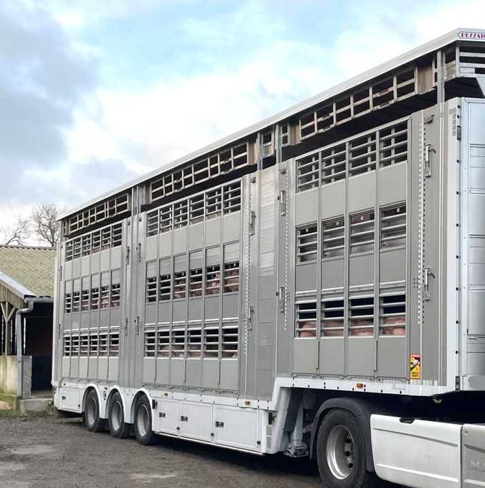 Do zwierzat naczepa PEZZAIOLI SBA32 3+3+3 01/2023