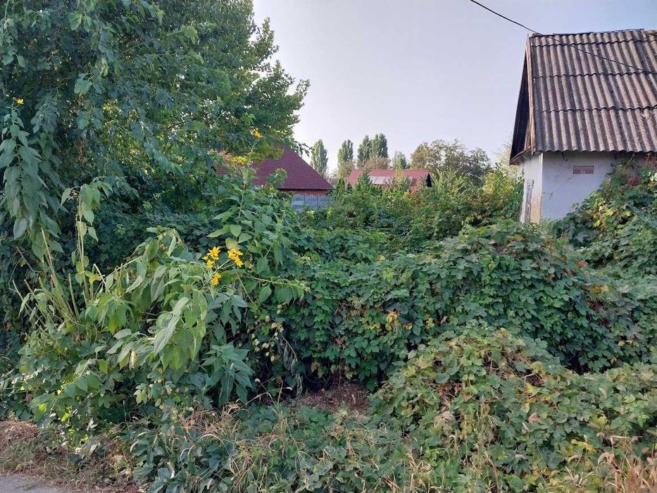 Комплексная уборка земельных и дачных участков по Кривому Рогу.