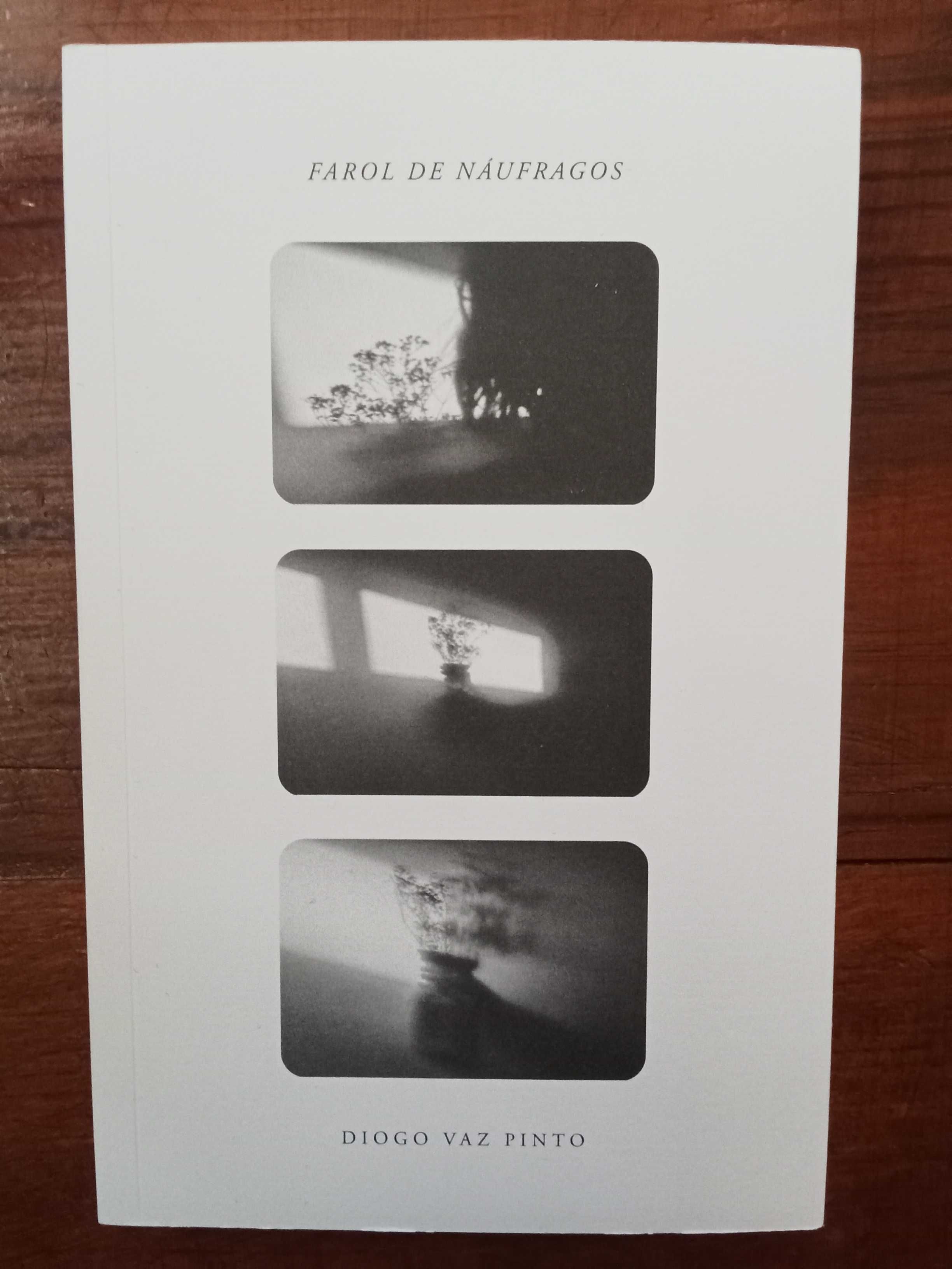 Diogo Vaz Pinto - Farol de náufragos
