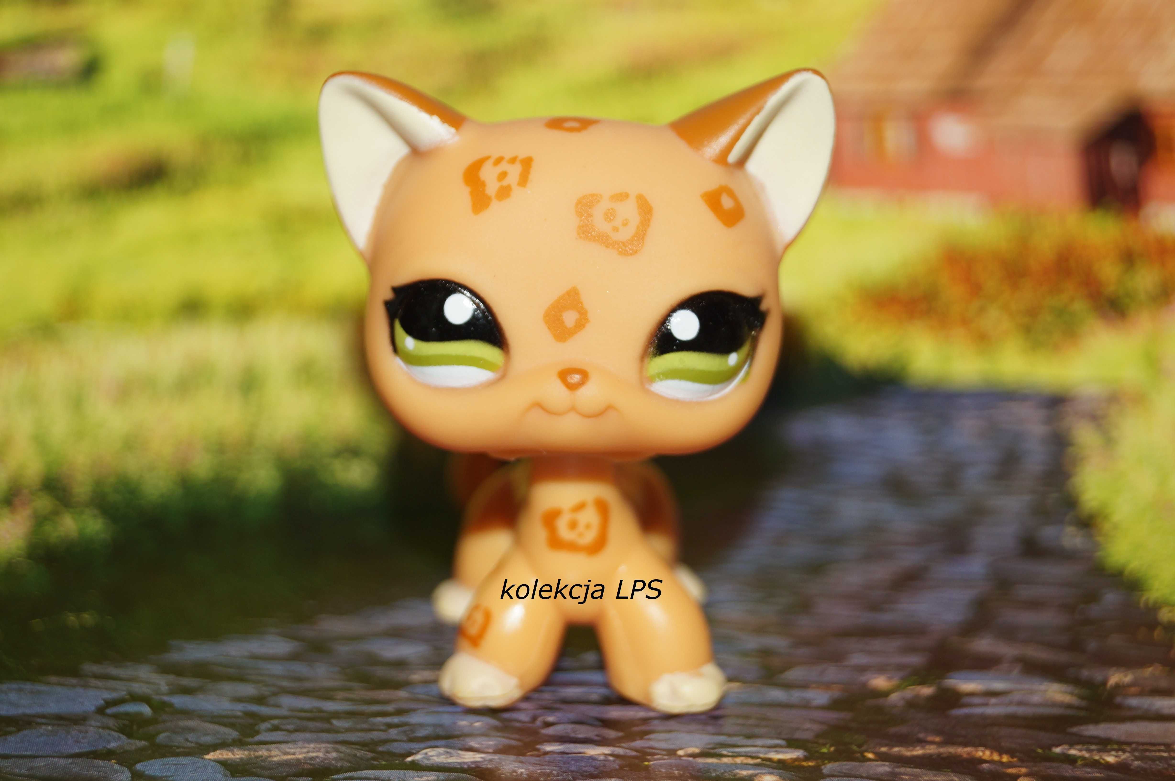 LPS Littlest Pet Shop shorthair #1120 oryginalny kotek oryginał POP