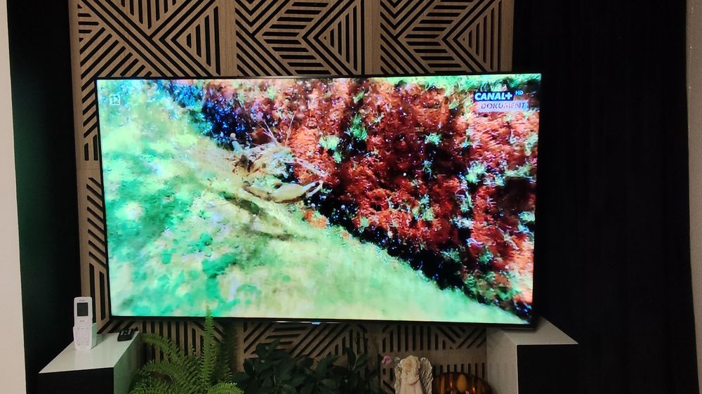 TV 65 cali Samsung UE65F8000