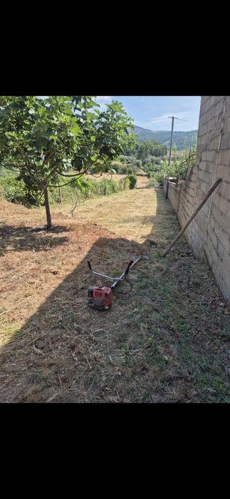 Serviços  de jardinagem limpeza de terrenos,  bricolage pinturas  l
