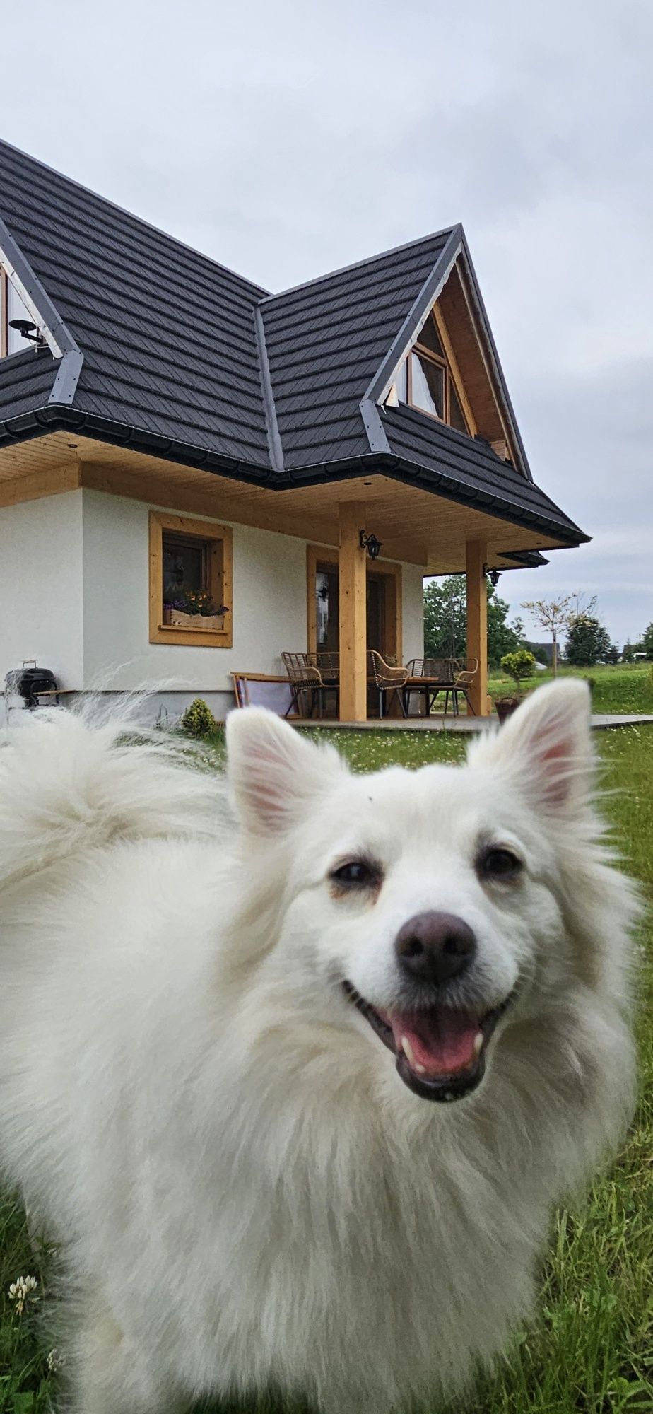 Domek Zakopane Grill Ognisko Parking