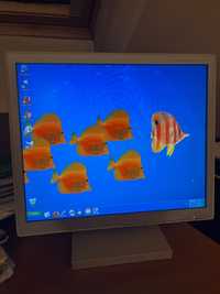 Monitor Multisync LCD 1760NX.