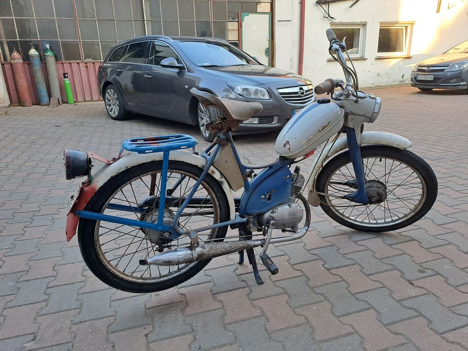 Komar sztywniak romet