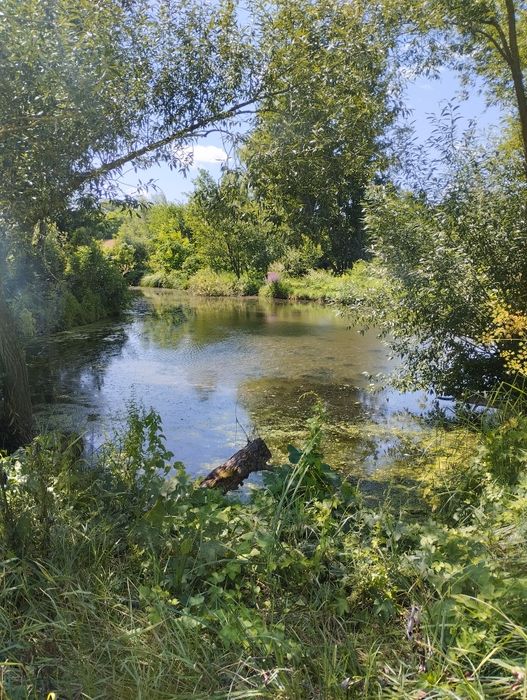 Продаж земельна ділянка, під забудову