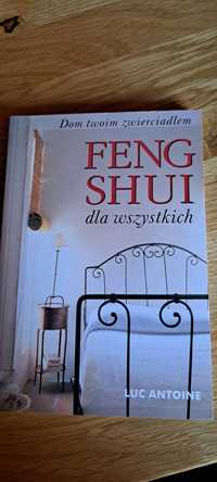 Feng shui dla wszystkich Luc Antoine