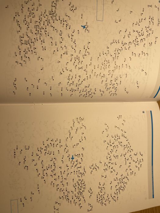 Książka Ortograffiti