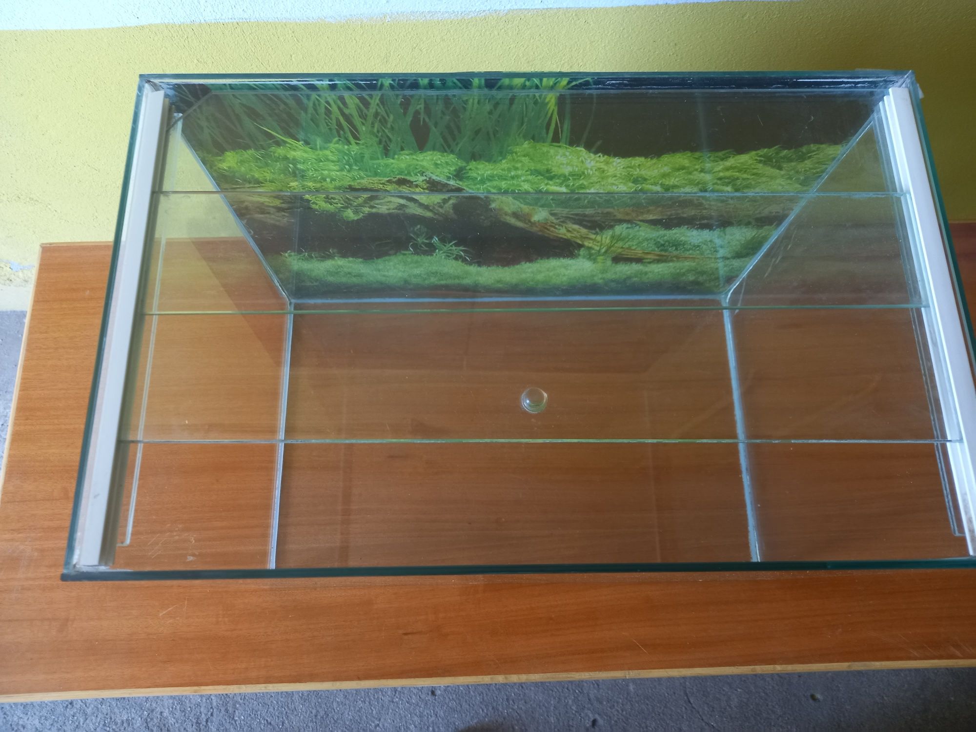 Aquários para peixes