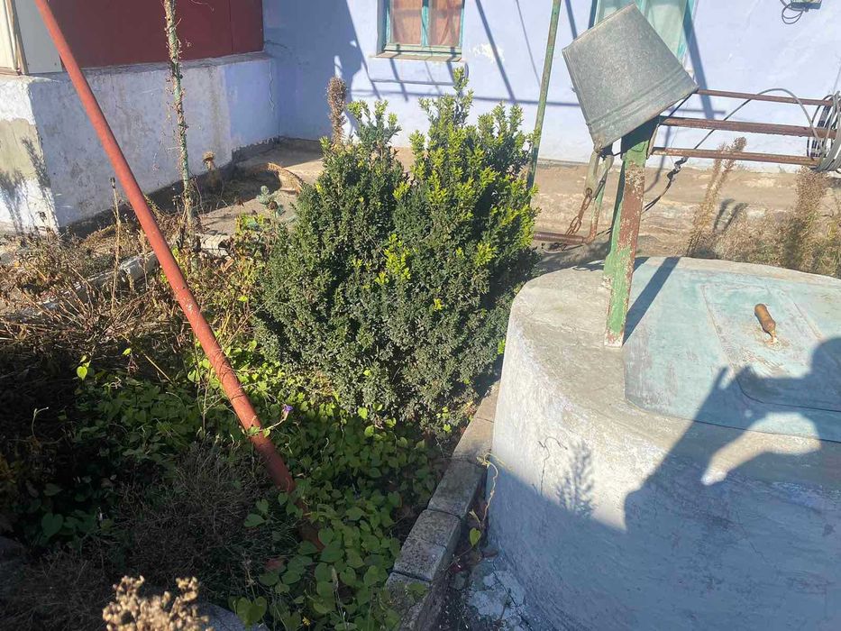 Продається будинок в центрі