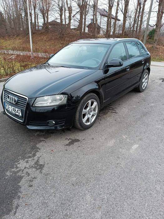 Audi A3 8P   1.9 tdi