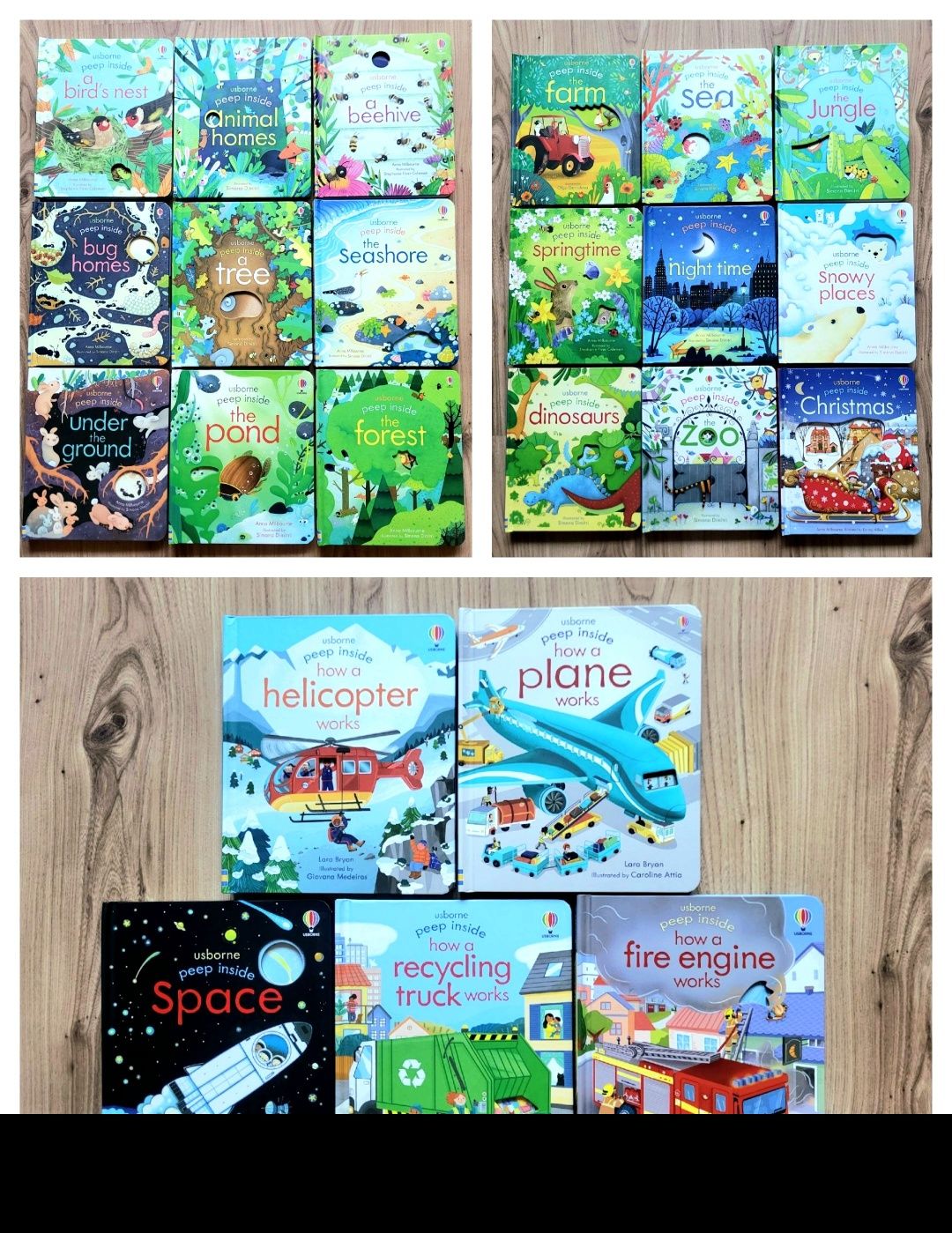 The Pond Usborne Peep Inside z okienkami po angielsku