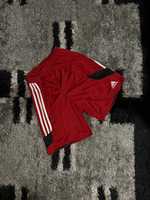 Спортивні шорти Adidas
