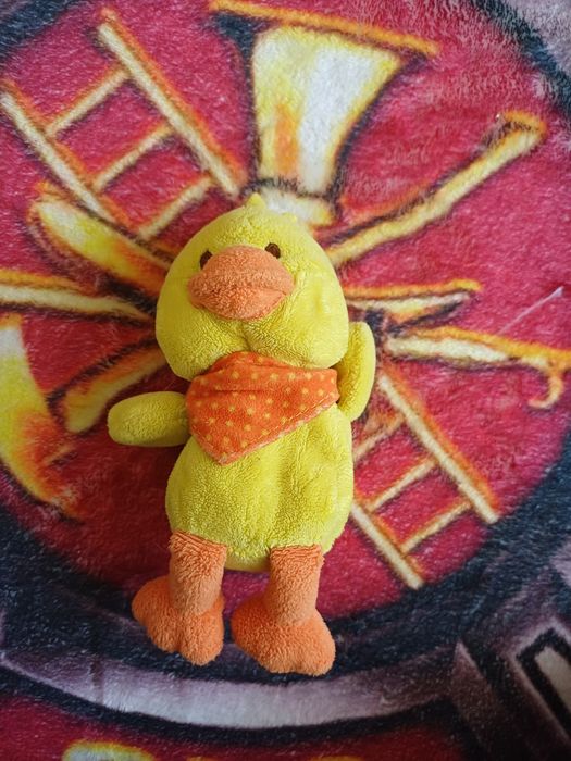 Kurczaczek  pluszaczek