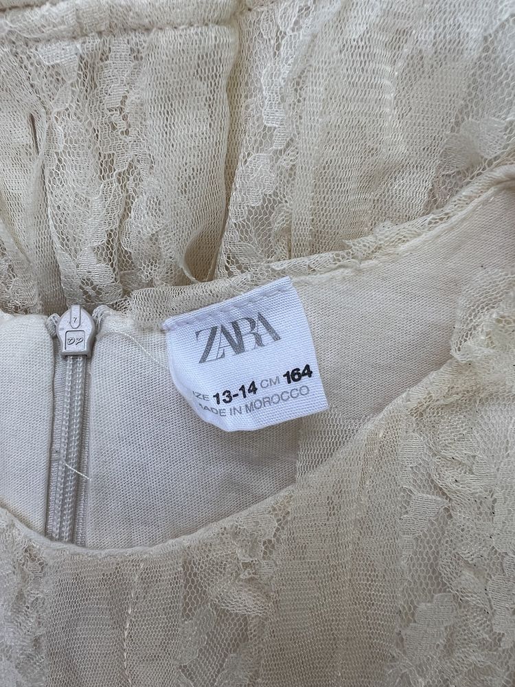 sukienka koronkowa zara 164