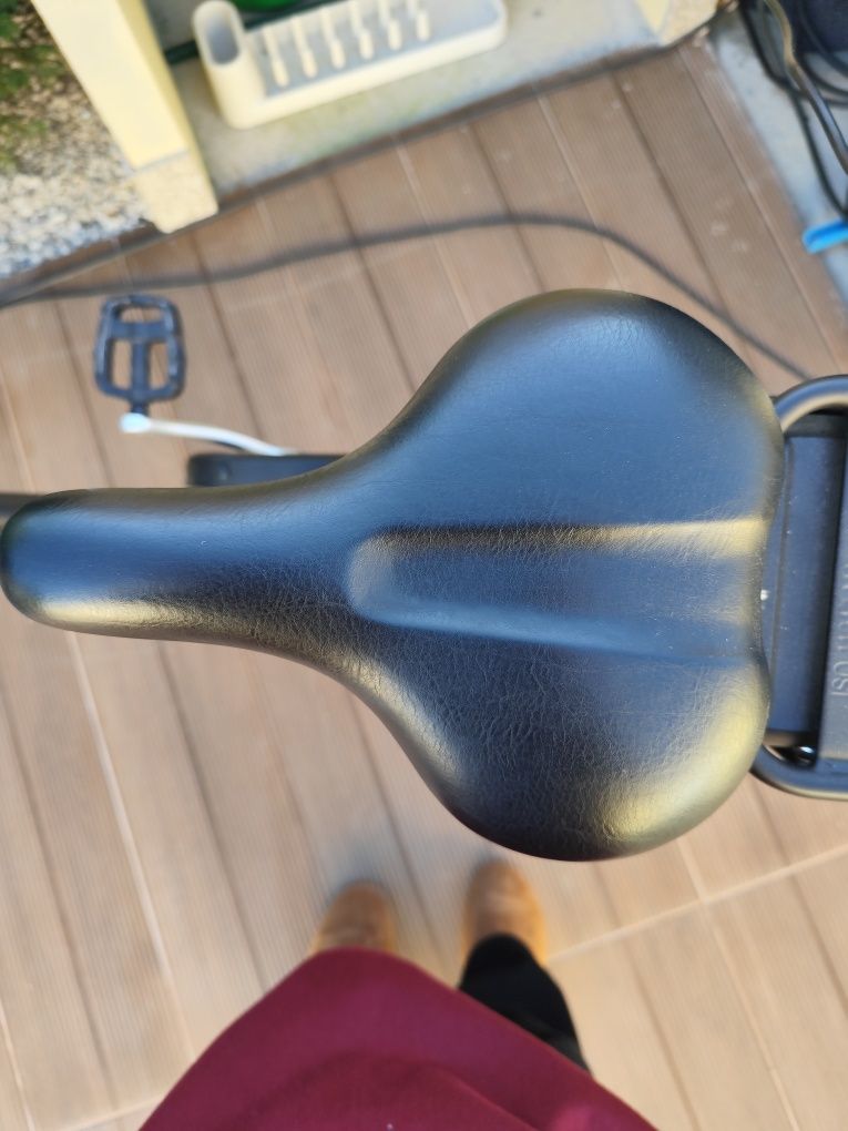 Bicicleta eléctrica