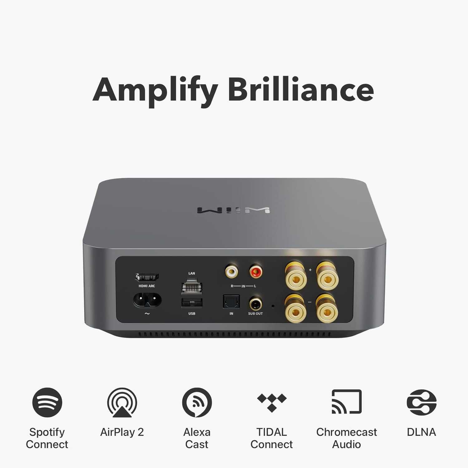 Wiim AMP Wzmacniacz All in One 2x100W BT Spotify Tidal SKLEP RATY