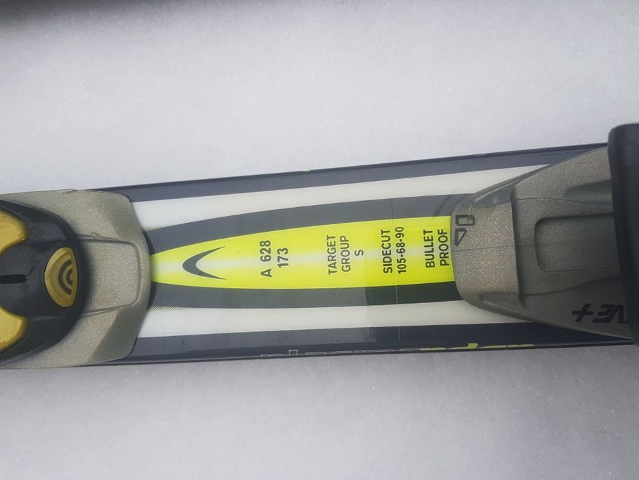 Гірські лижі Fisher