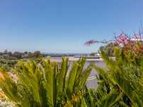 Espetacular Moradia com Jardim Tropical em Alcoitão