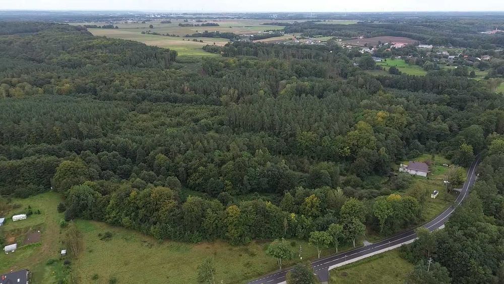 Działka rolno-leśna z warunkami zabudowy*30 561 m2*własny las*strumyk