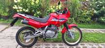 Honda Dominator NX