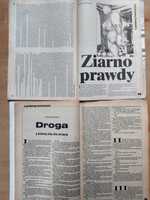 Ziarno prawdy,Droga z której się nie wraca Sapkowski Fantastyka