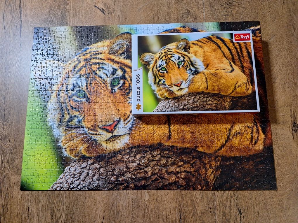 Puzzle tygrys 1066 sztuk