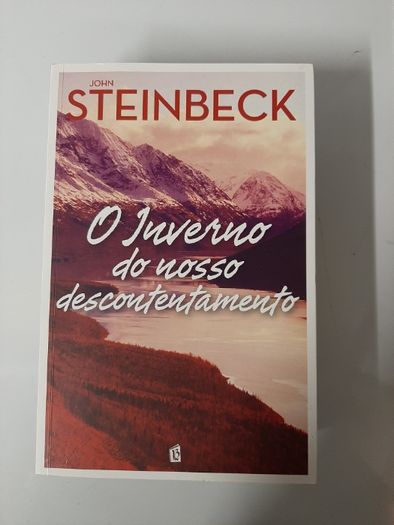 Danielle Steel, Steinbeck, Lesley Pearse e outros