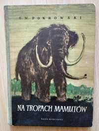 Na tropach mamutów, A.S. Pokrowski