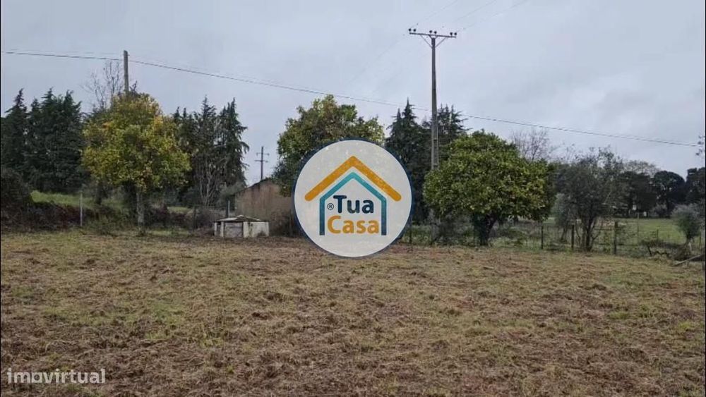 Quinta com Olival, Vinha e Árvores de Fruto – 4.520 m2 – Ferreira
