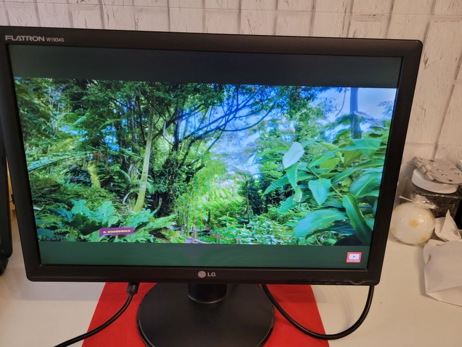 Monitor LG W1934S