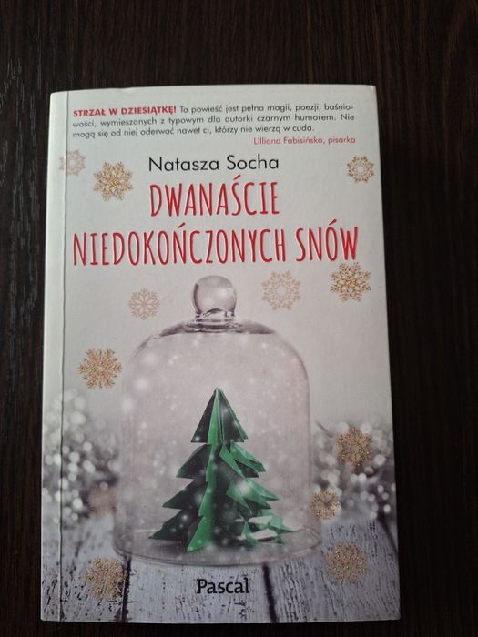 Dwanaście niedokończonych snów-Natasza Socha