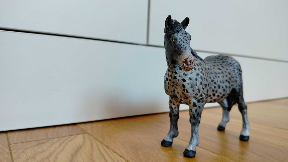 Custom klacz Suffolk Punch Mojo