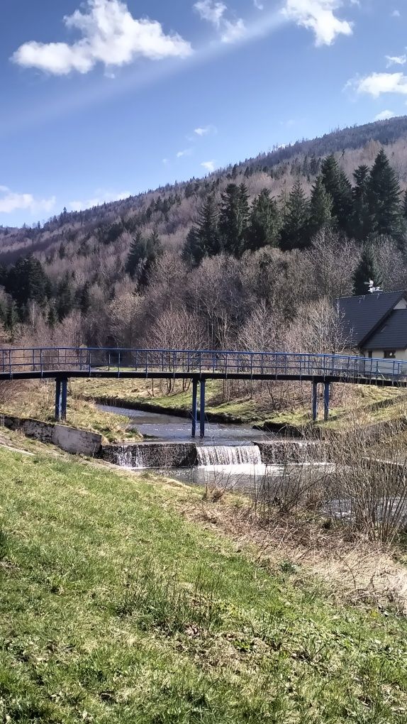 Apartament do wynajęcia .Wolne terminy