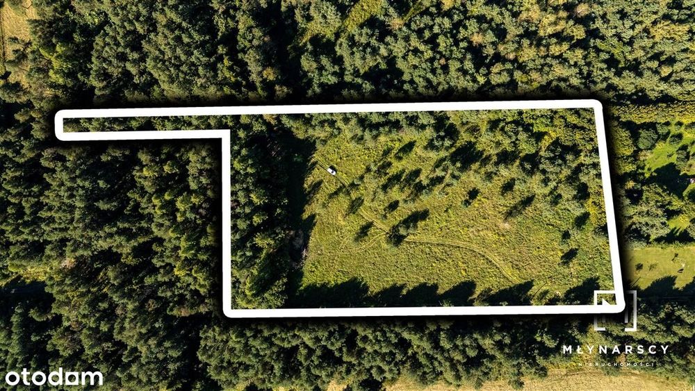 1.3ha|Pod inwestycje|Otoczenie Lasu|Zawiercie|