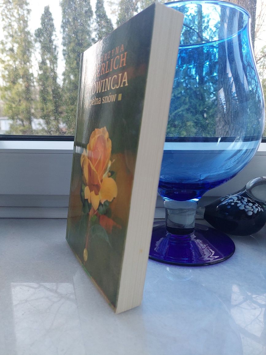 Katarzyna Enerlich "Prowincja pełna snów"