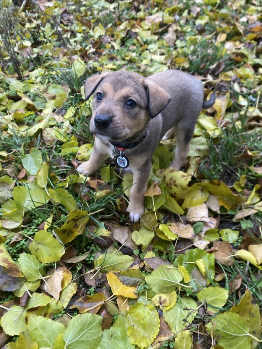 Хлопчики в добрі ручки
