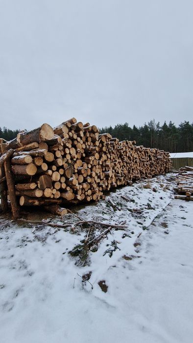 Sprzedam drewno sosnowe 2.5mb 120m3