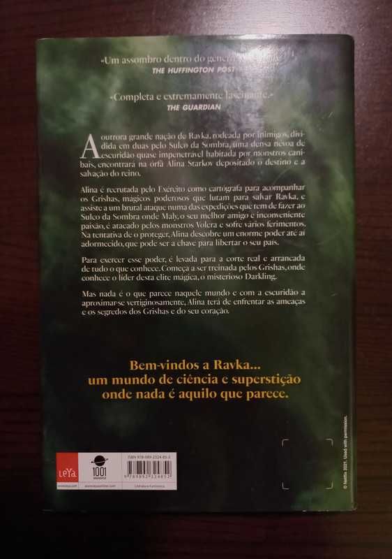 Livro Shadow and Bone (Luz e Sombra)