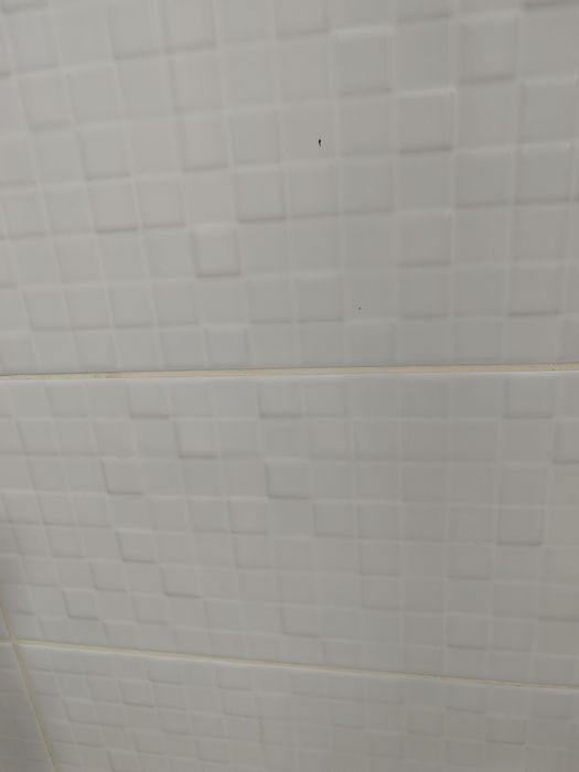 Прибирання квартир, будинків, після ремонту , генеральне Дніпровський