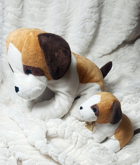 Dwa pieski Mamusia i szczeniaczek Toblerone