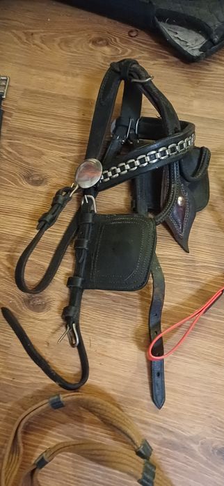 Sprzęt jezdziecki oglowie, puszorek, wrdzidlo