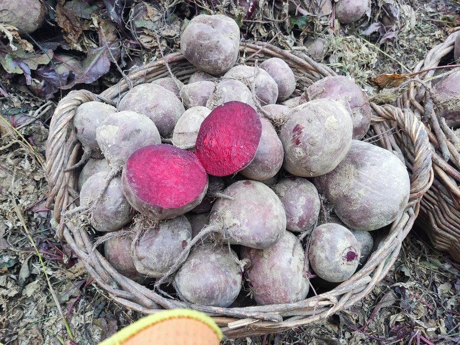 Продам столовийбаряк