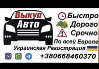 Выкуп авто в Европе Укр номера