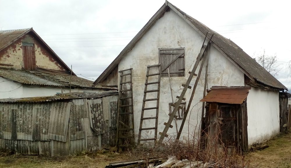 Будинок дім хата в селі Іванівка Славутський р-н 46 соток