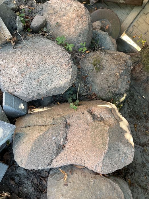 Duże kamienie ogrodowe na skalniaki