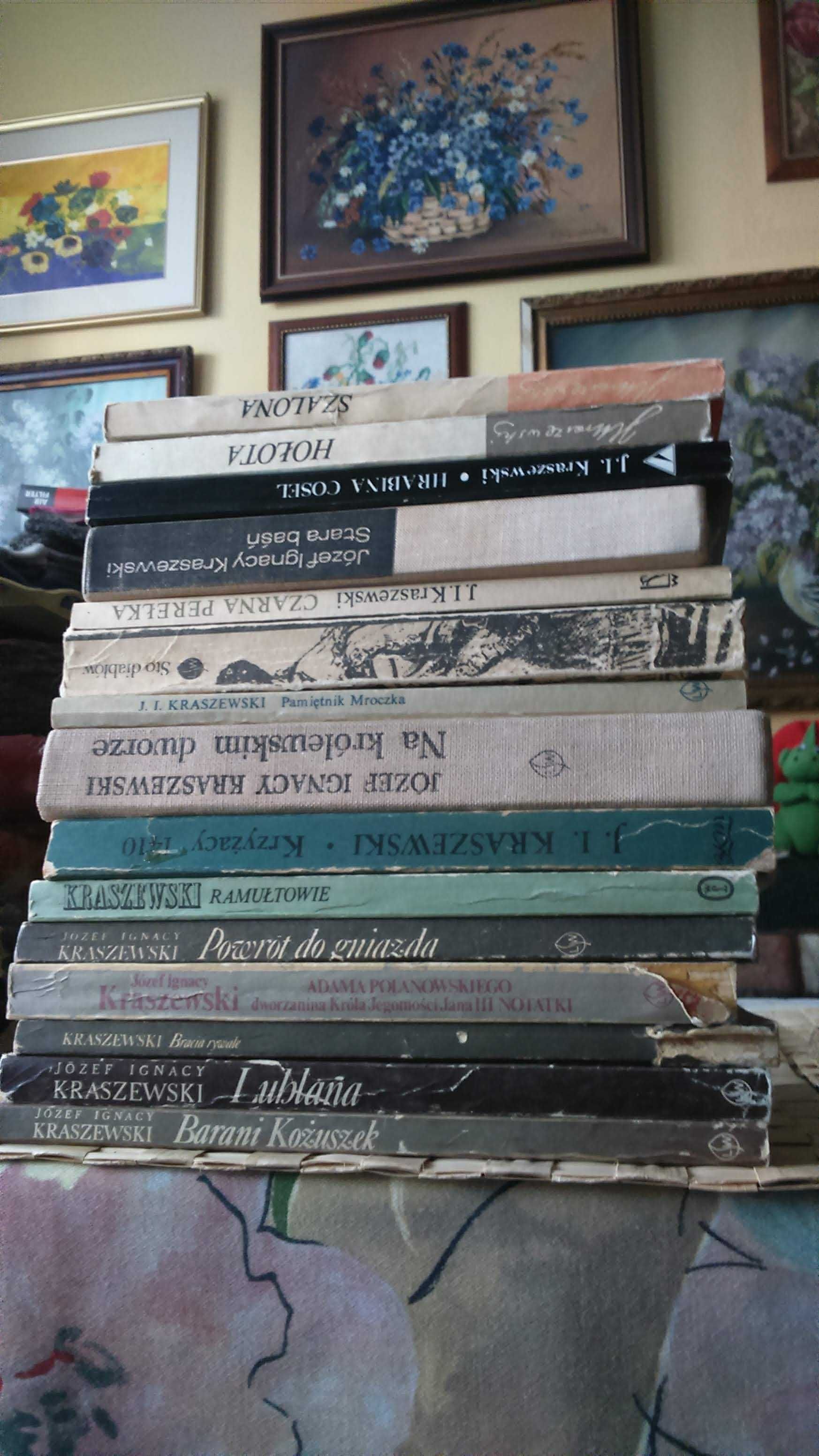 Józef Ignacy Kraszewski 17 książek: "Stara baśń", "Hołota", "Szalona"